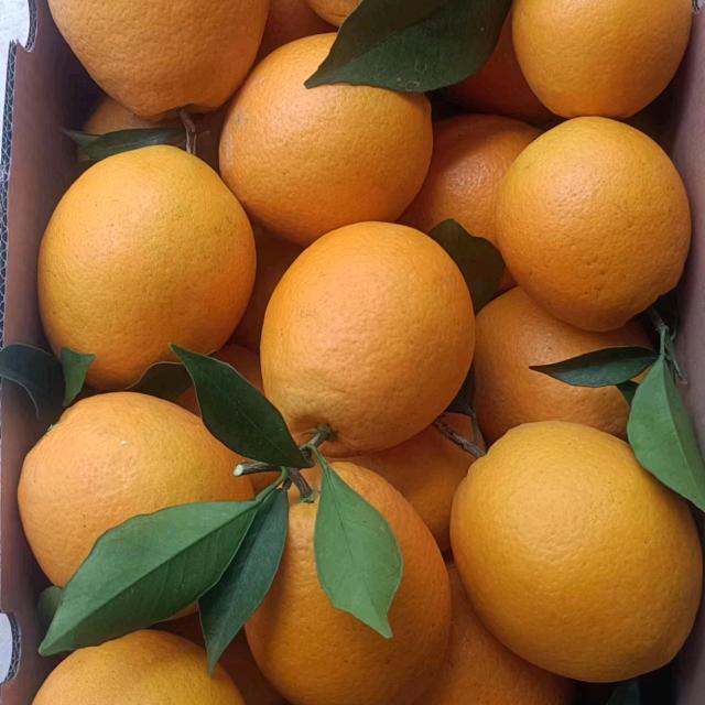 心潮澎湃