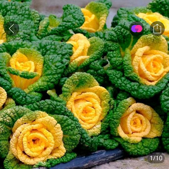 @  💞  💞 单 身 妹