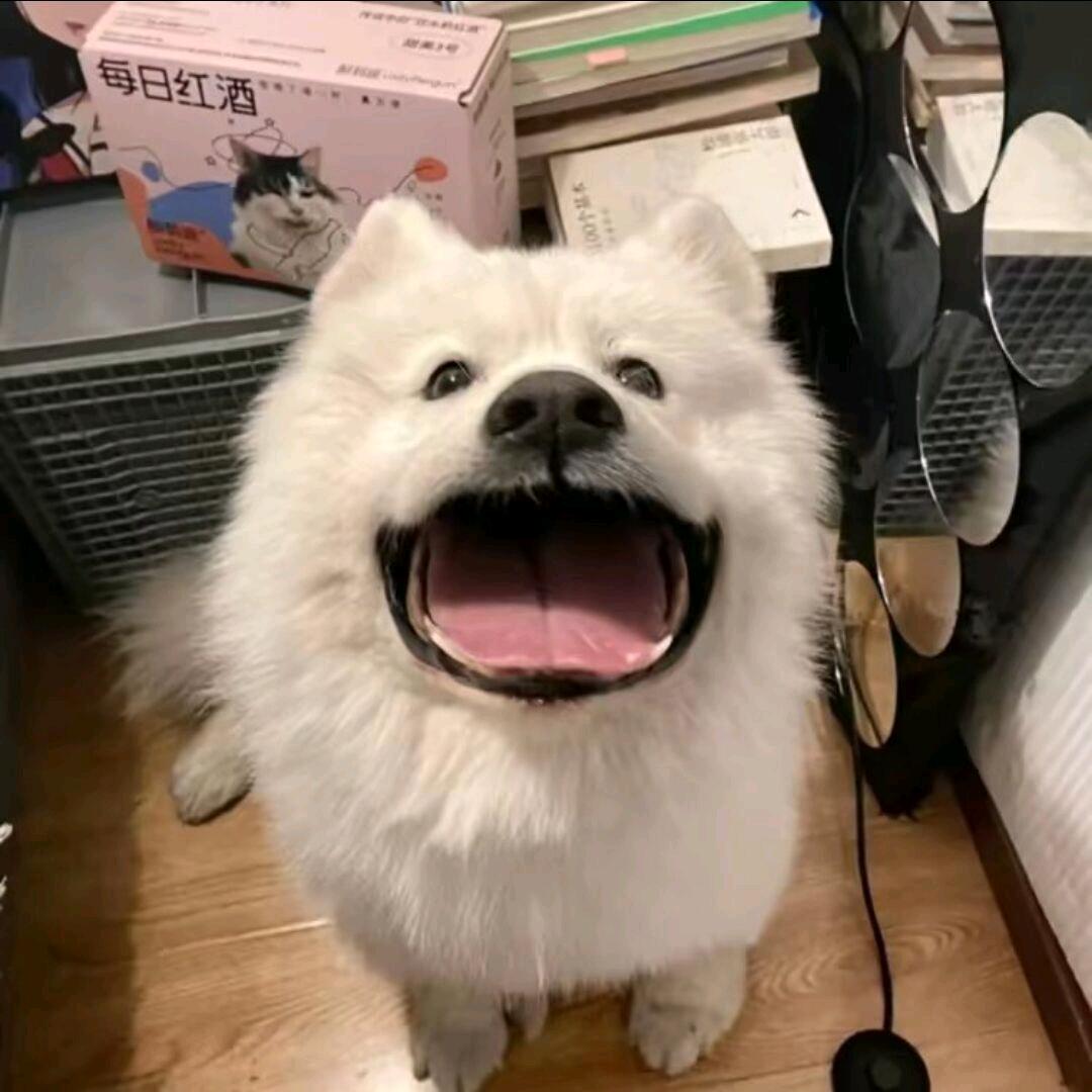 小德Max