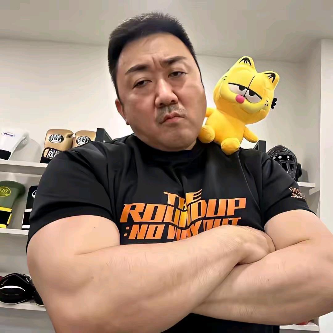 可惜梅花各心事