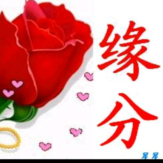 缘份tyf