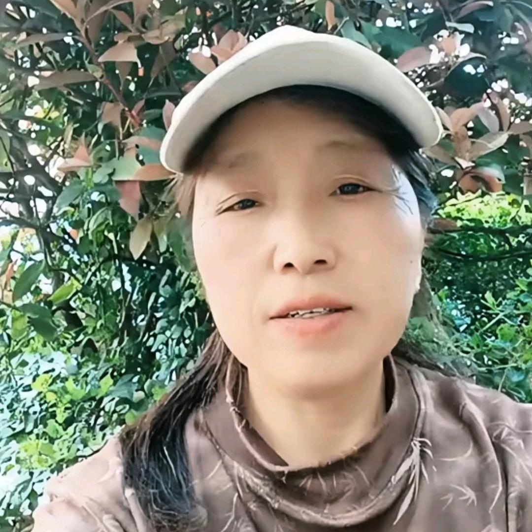 金姐（下午5:30开播）