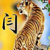 闫家生活乐园