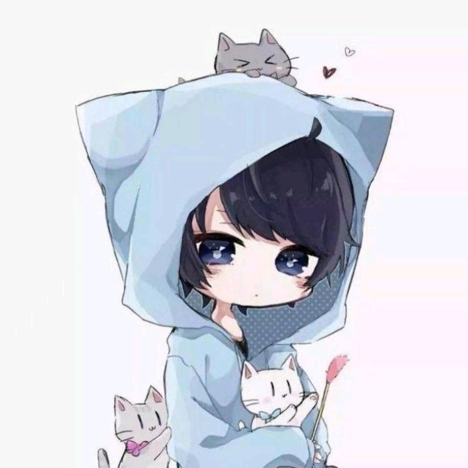 fy