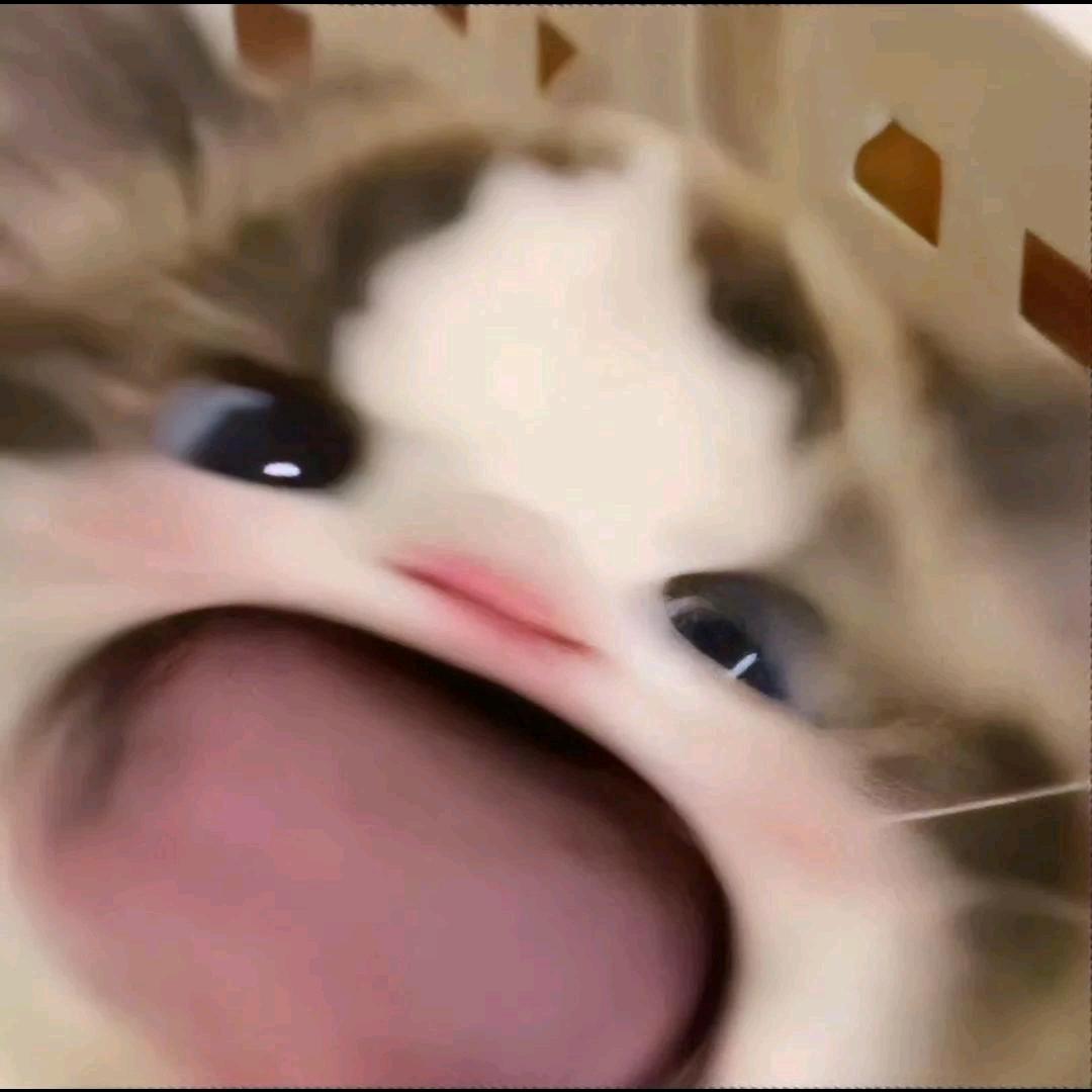 烦心事.