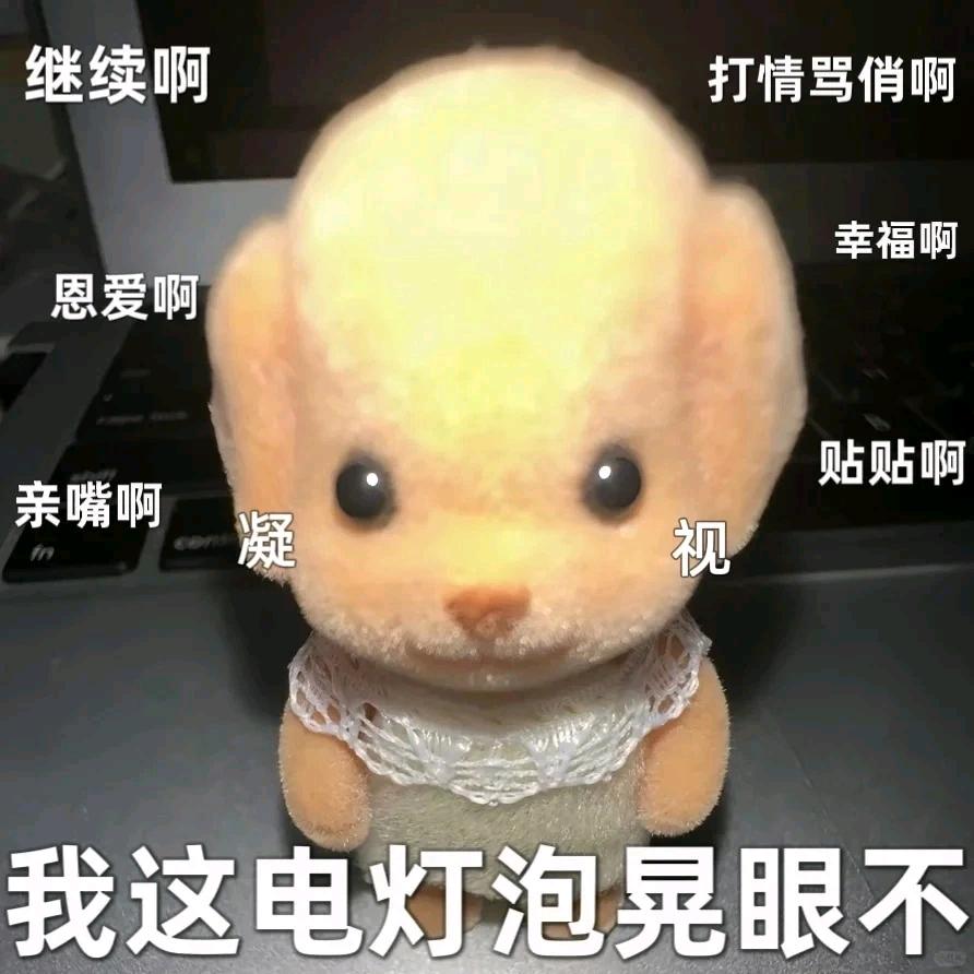 简洛