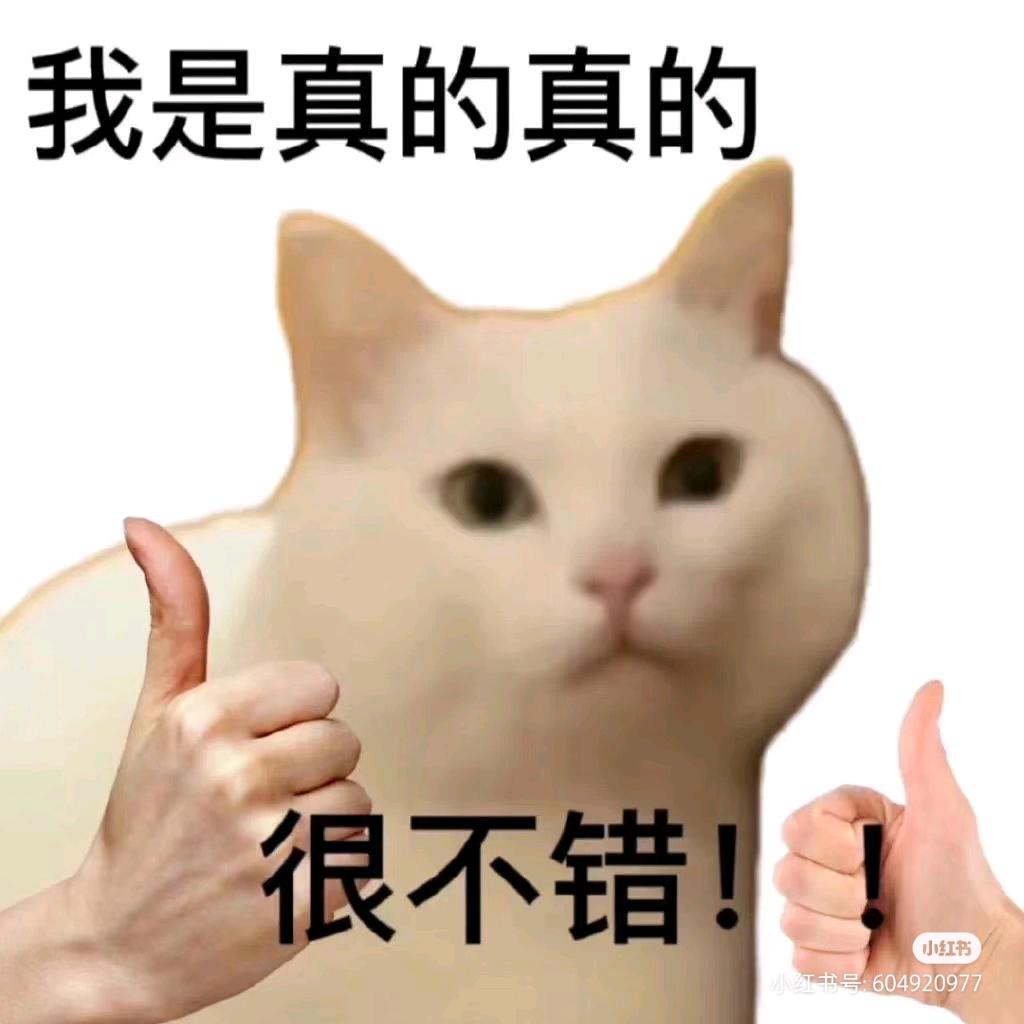 照烧鸡腿子🍗（接🥚