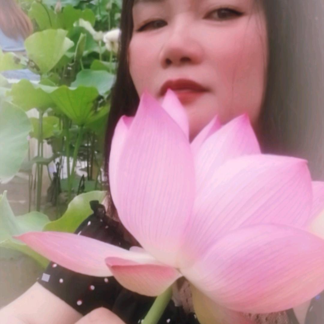 梦