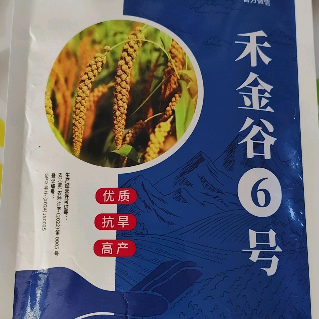 天山谷商——张立辉