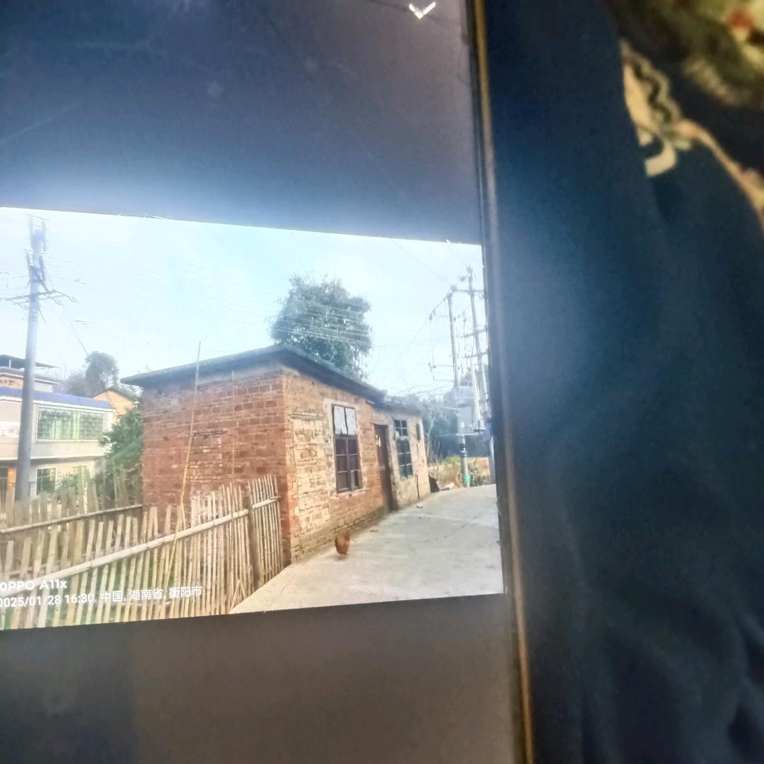 湘新生