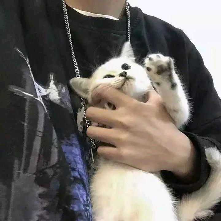 一枚人参果