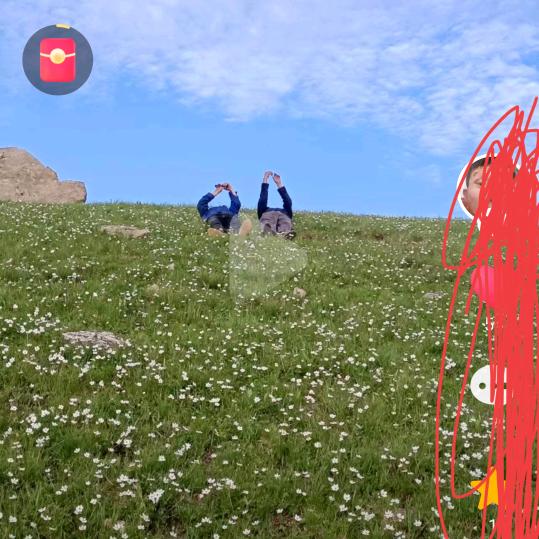 用户苹果苹果