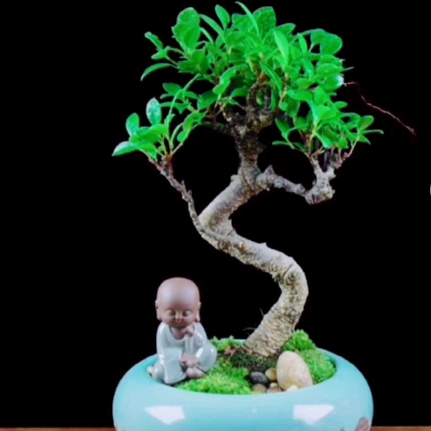 人生一辈子就要活的开心快乐好每一天