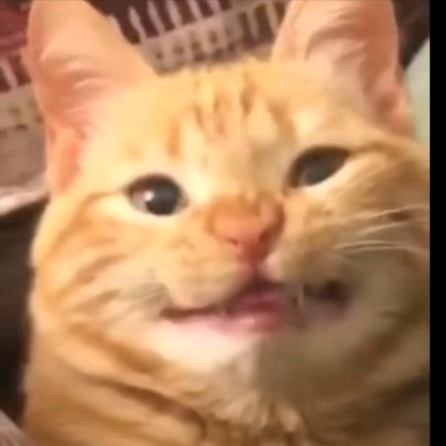 只希望你未来更好