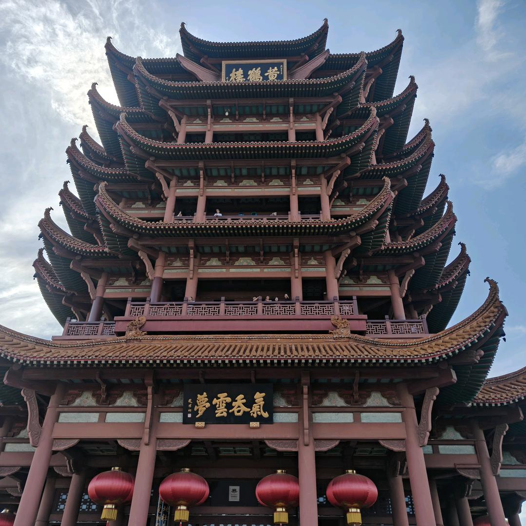 社恐花果