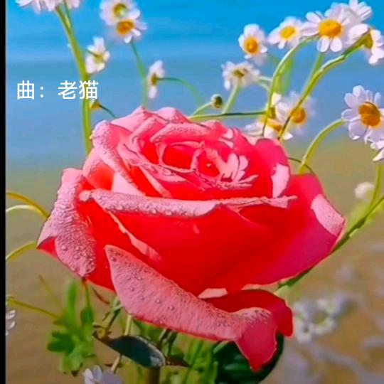 沉默