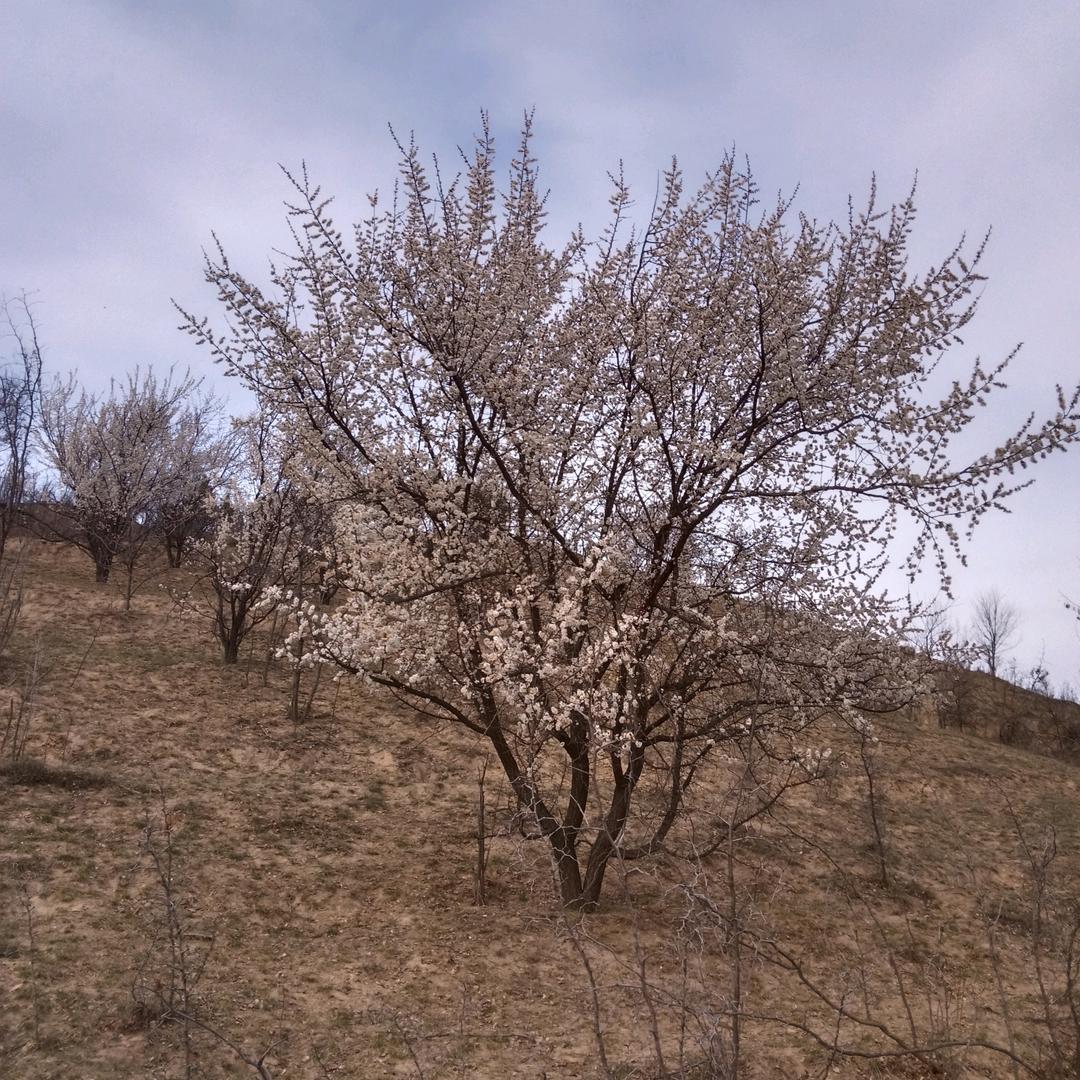 任帅帅,农村娃123