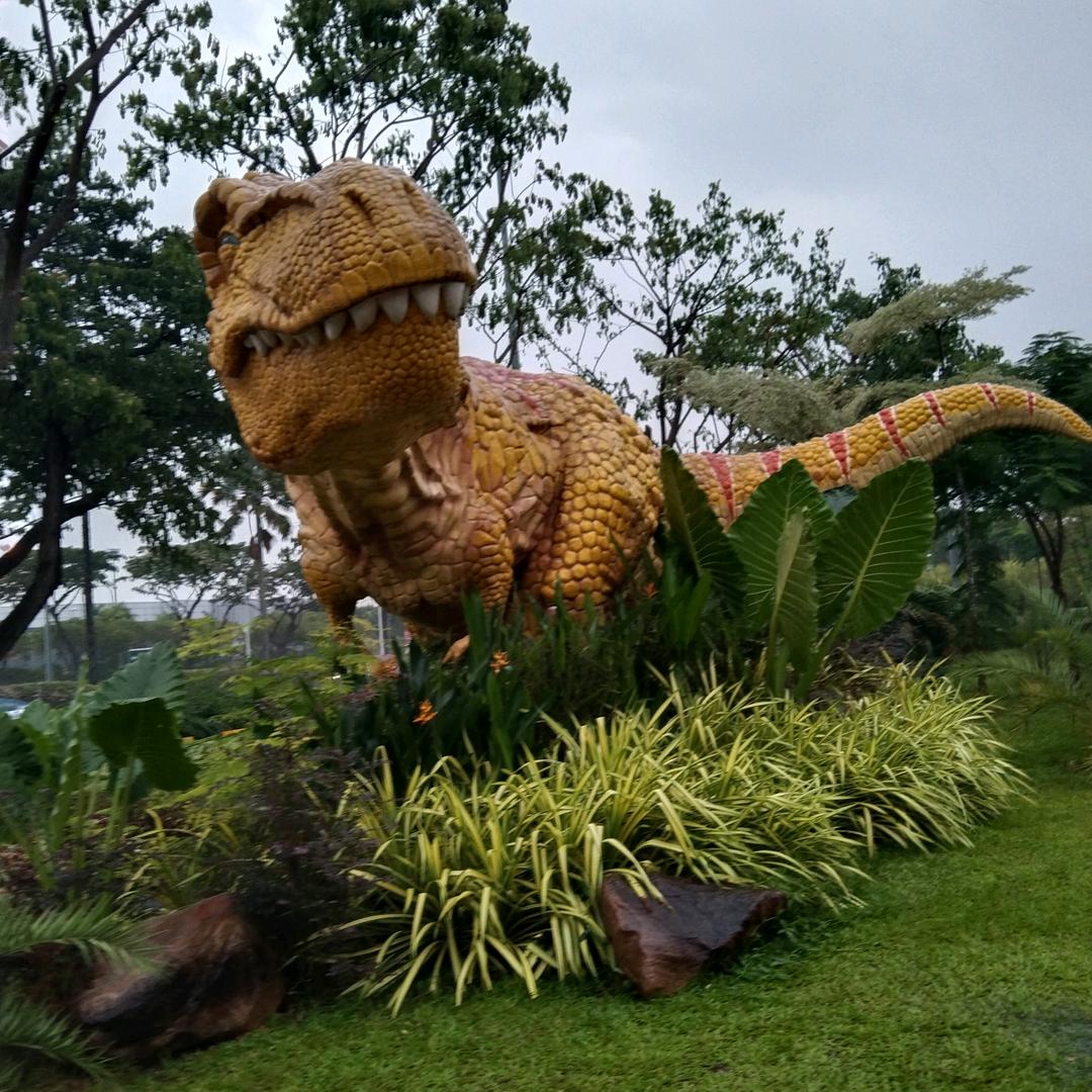 💥晋升空间很大🔥💥💦🌹