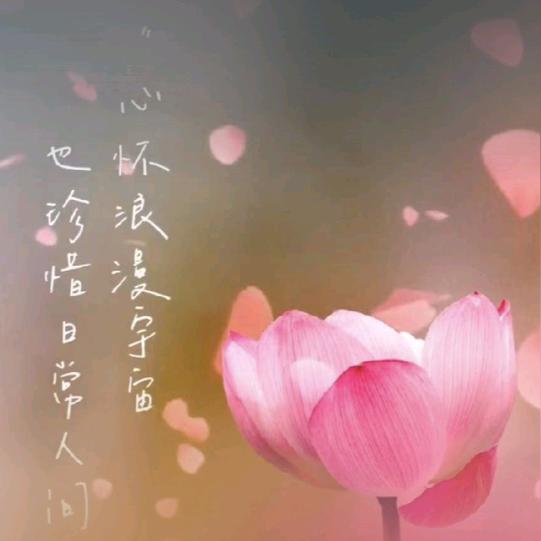 科派木门