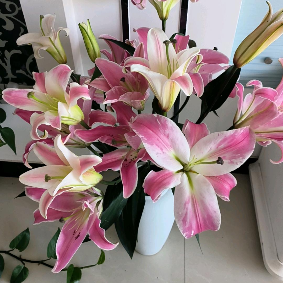 💕💕