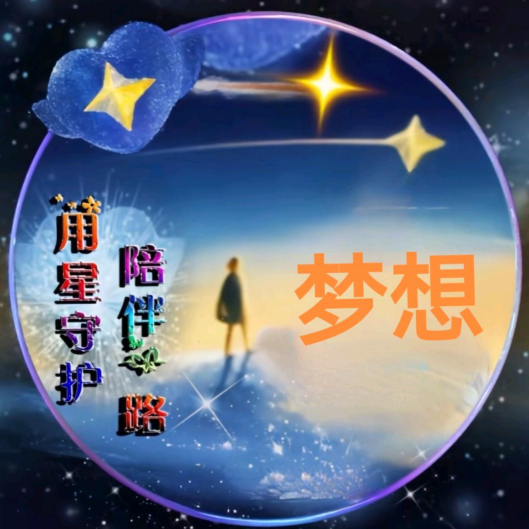 💥✨🐷为梦想而努力奋斗