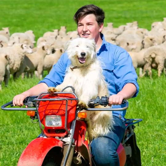 单身老男人！！