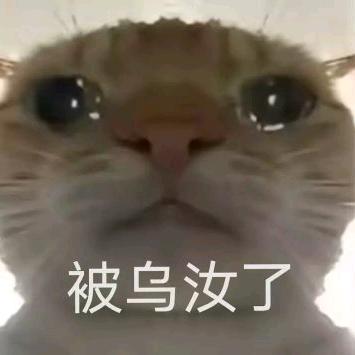 苦瓜大王