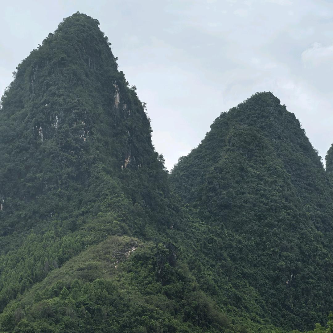 高山韵小琴茶行