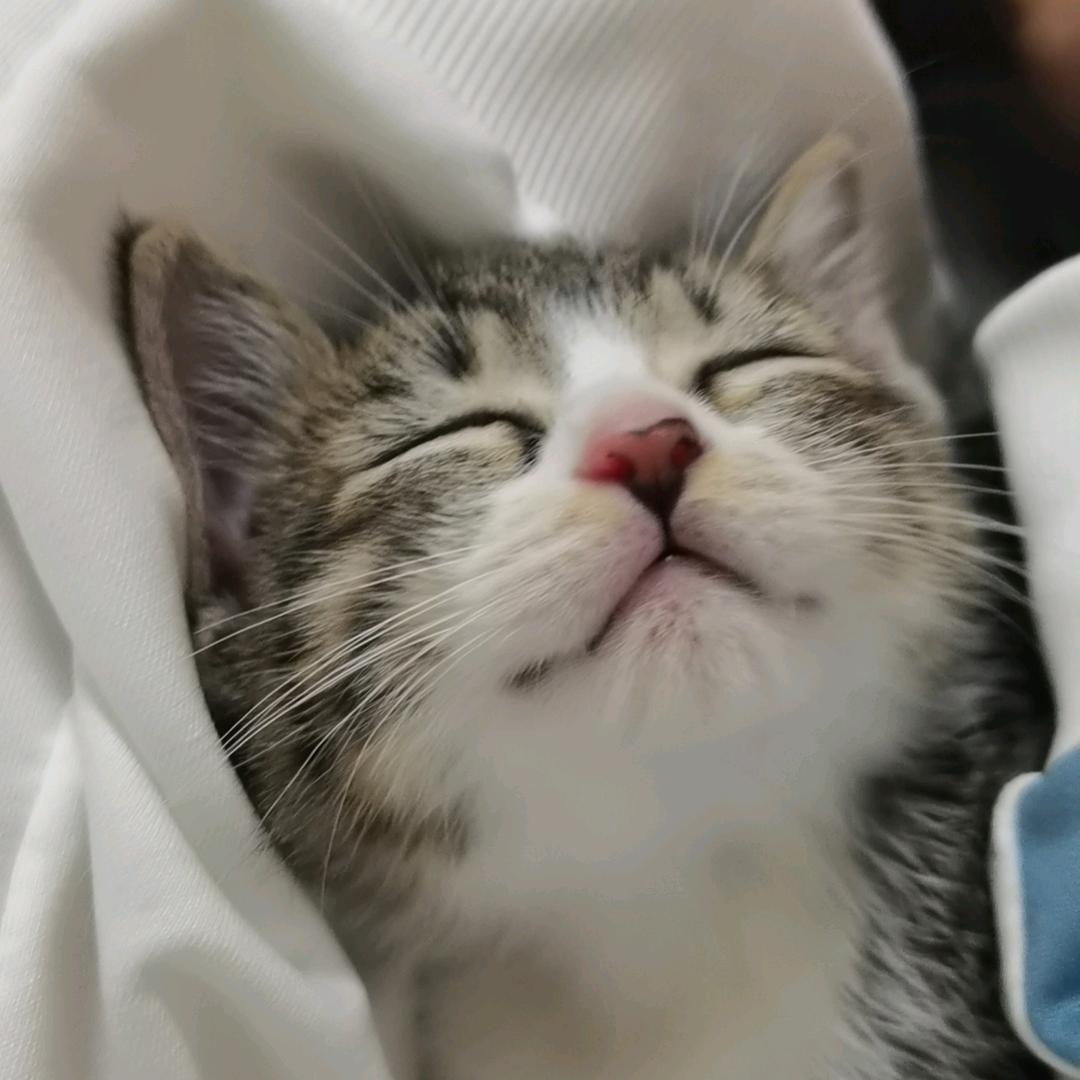 念念