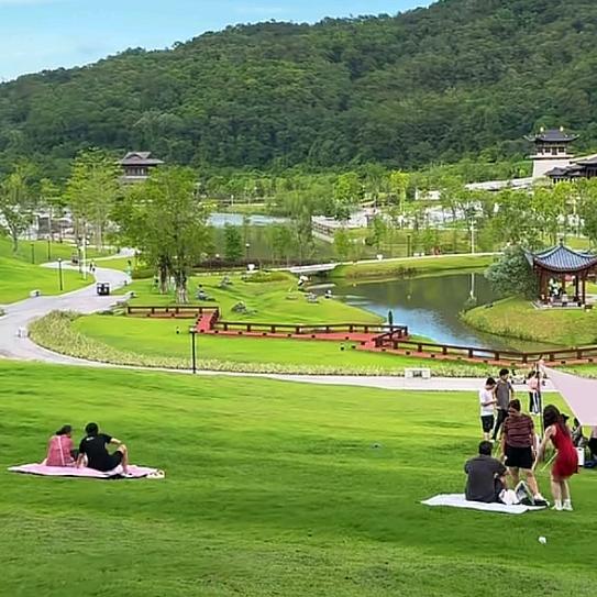 珊诺果树苗木店