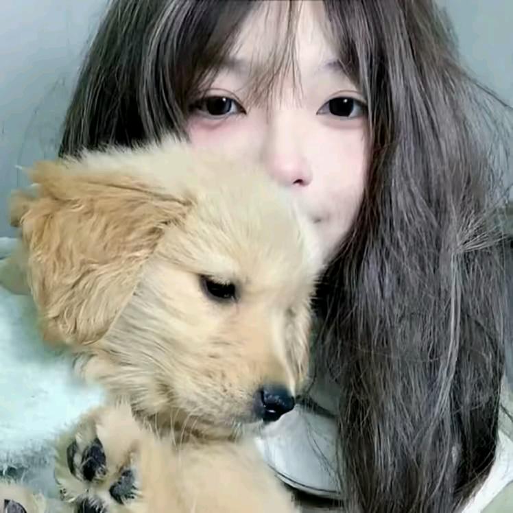 梅宝