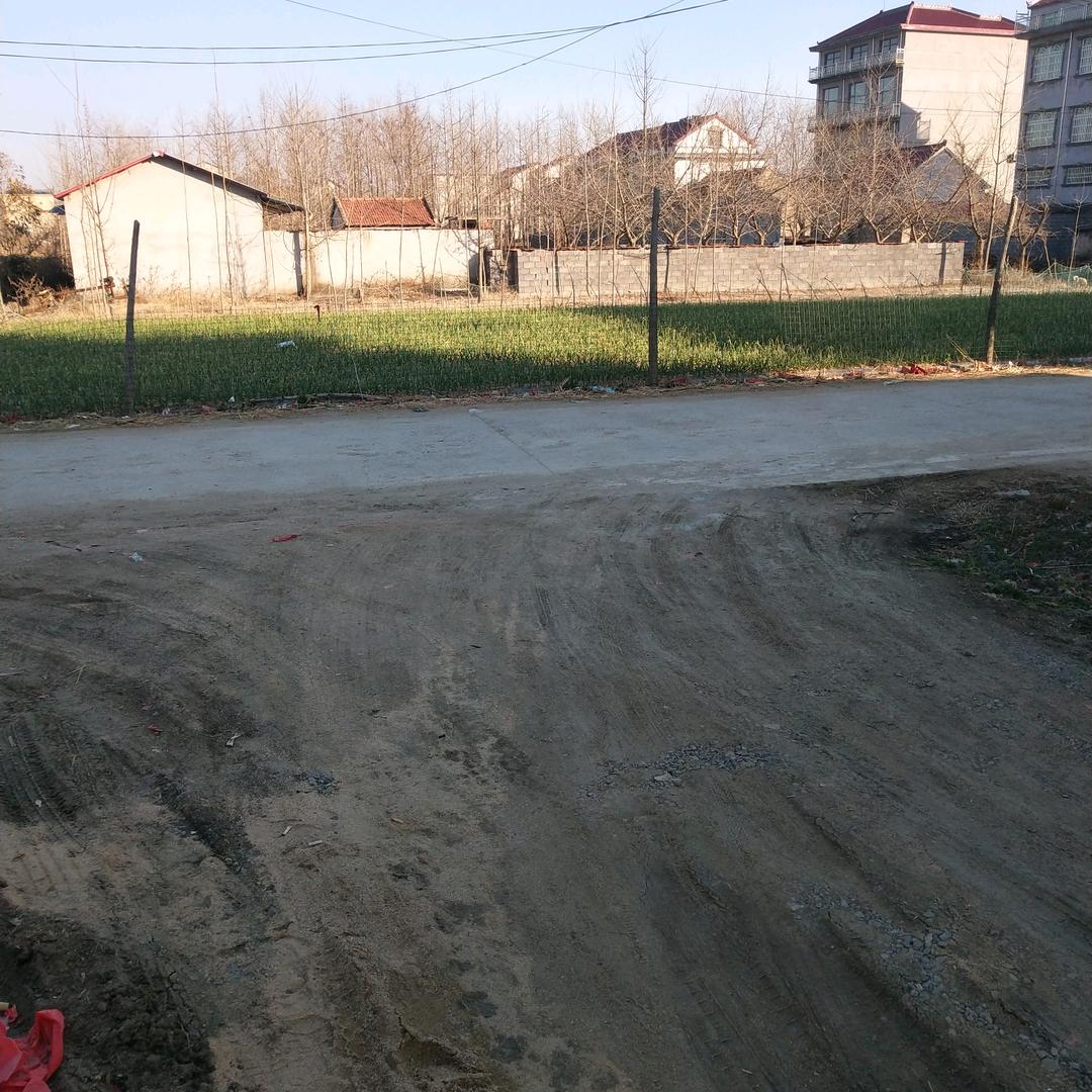 孟红
