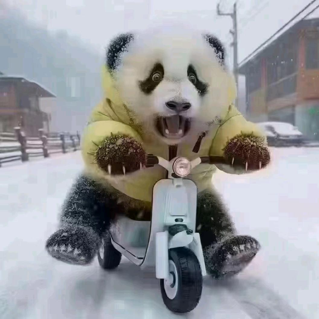 《  》