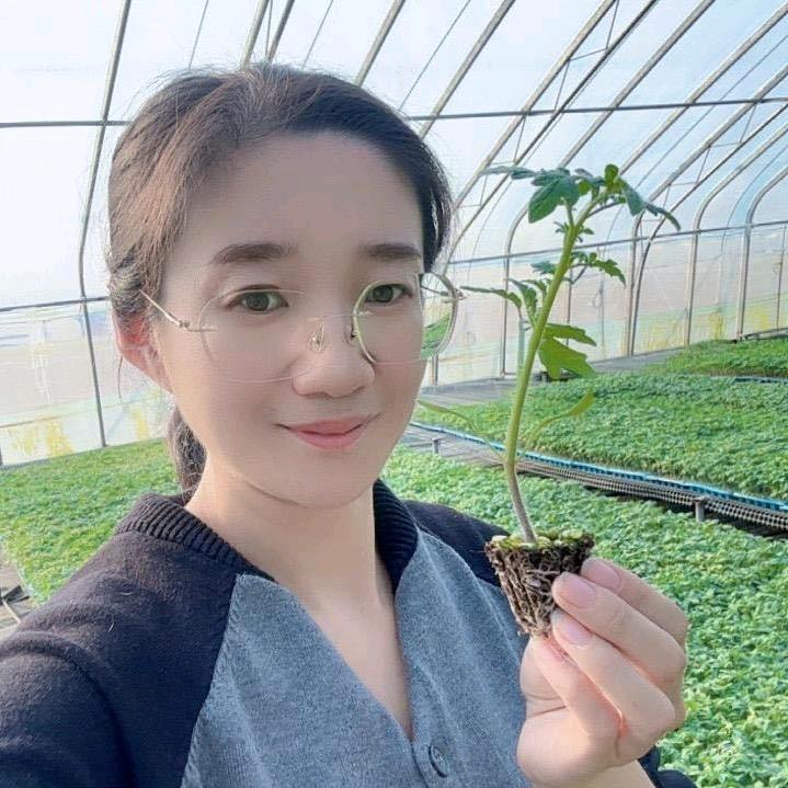 寿光蔬菜种苗—苏苏（大口感多瑞甜蕃）