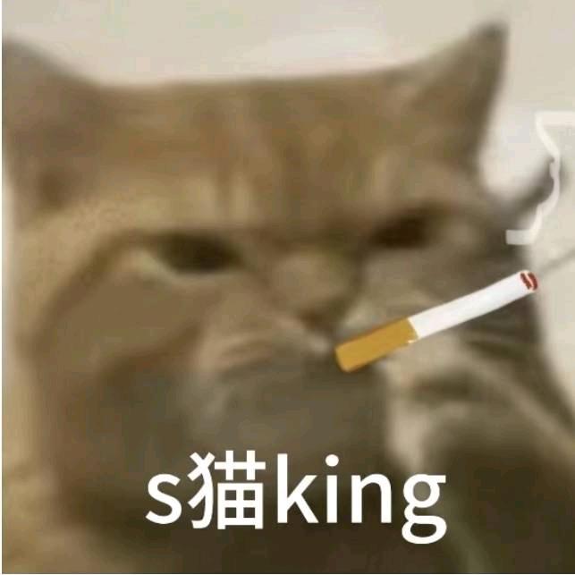 陈皮（见过单依纯版）