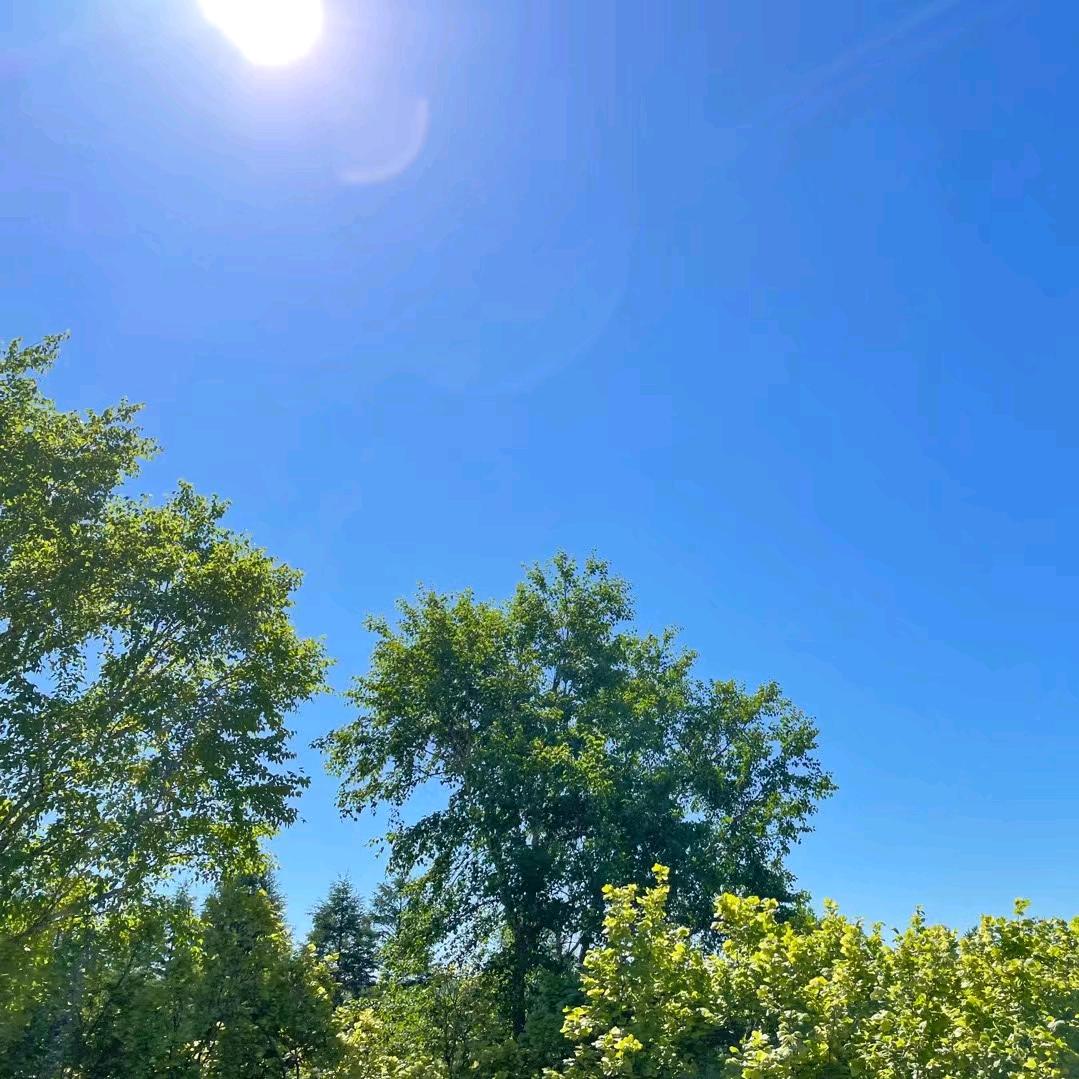 追忆（跑友互关必回）