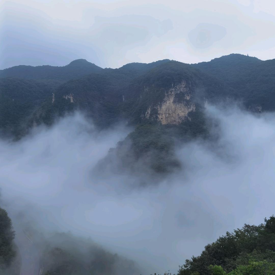 河南路路嬴物流有限公司