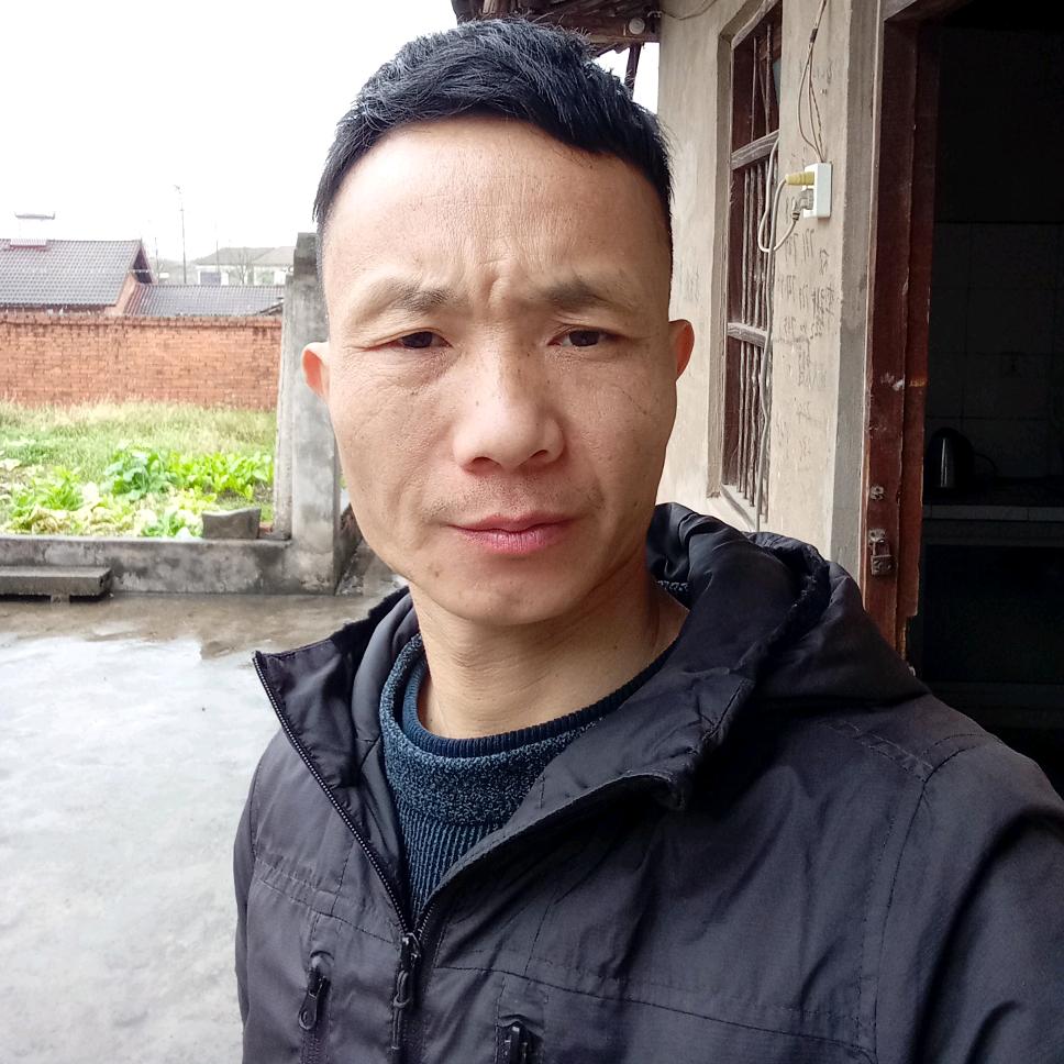 四季苗木基地（刘老板）