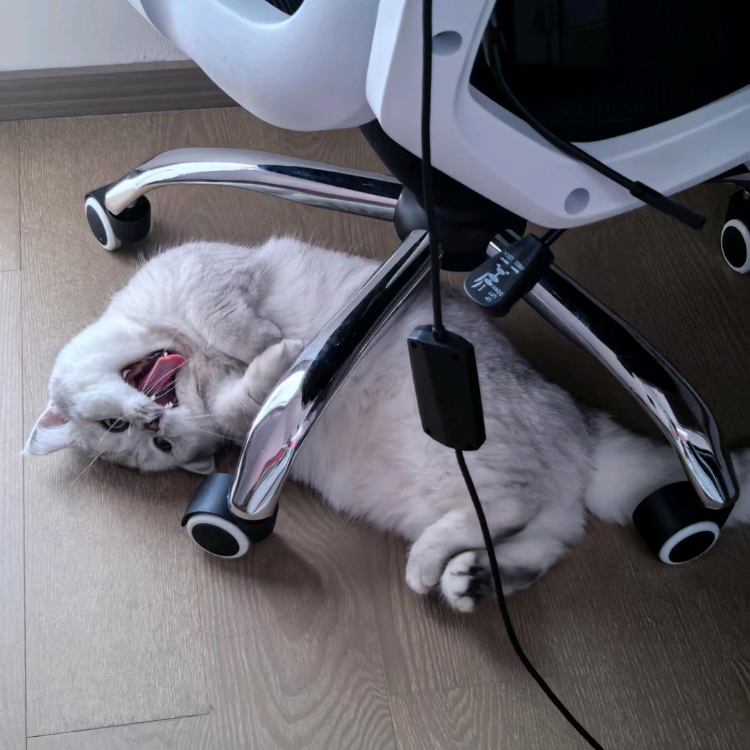 没头脑和不高兴