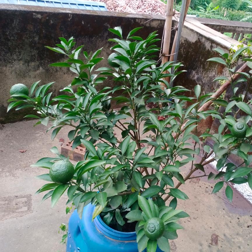 🌹🌹💞💞幸福人生🌹🌹💞💞