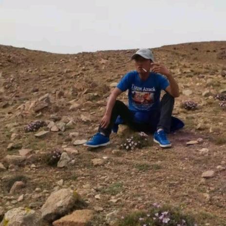 陈风破浪林三江风情