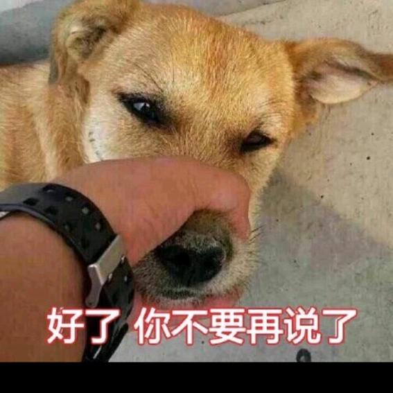 晚上没来就是在乱斗