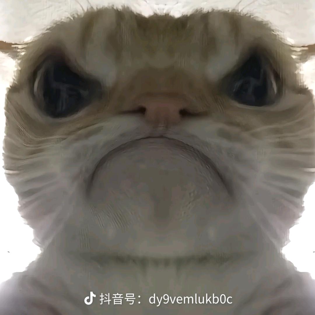 爱坤明日之后