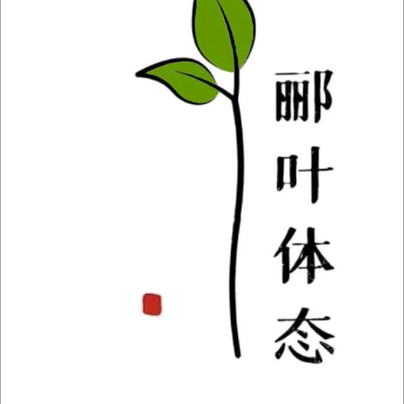 郦叶体态