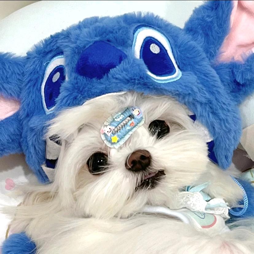 好 困^.💤