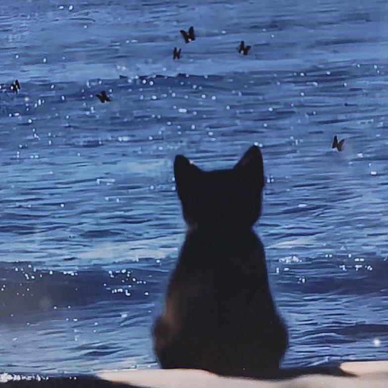 ดวงอาทิตย์太阳