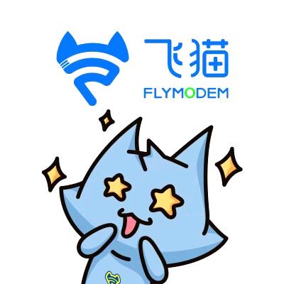 FLYMODEM_FEIMAO