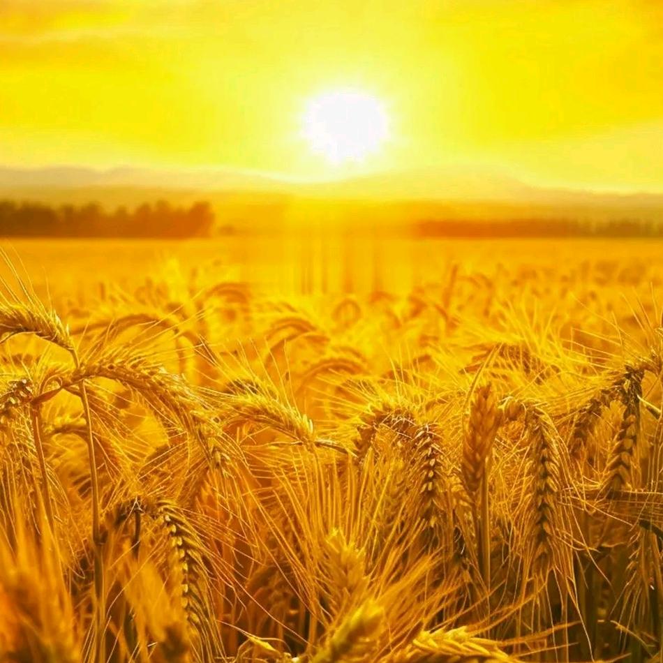 共和淡然杂碎海鲜小厨