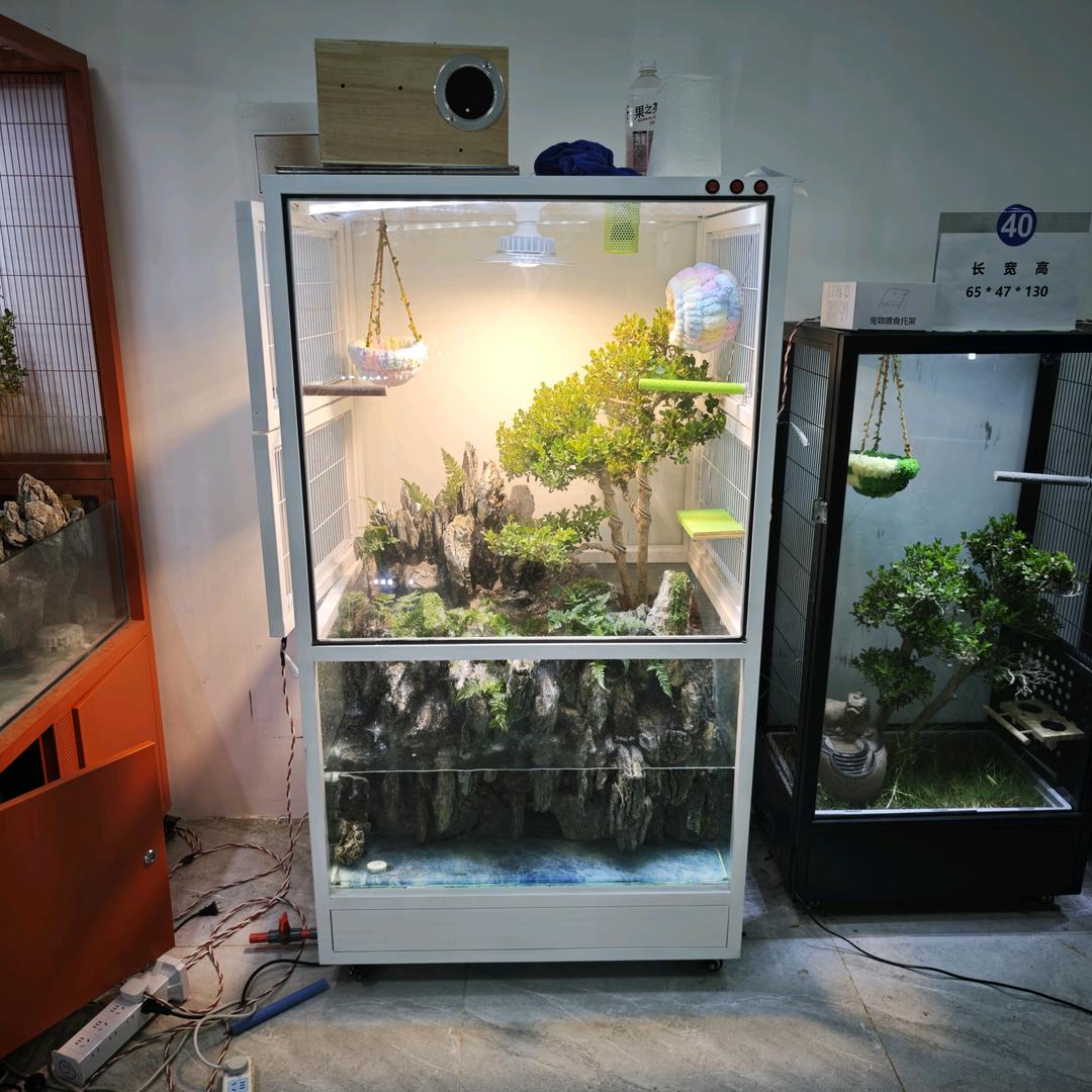 生态鸟笼生产厂家批发