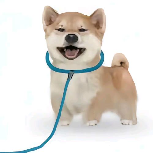 红豆吃多了相思